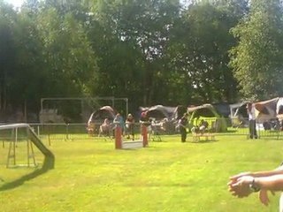 laurence crunch - concours quimper 2011