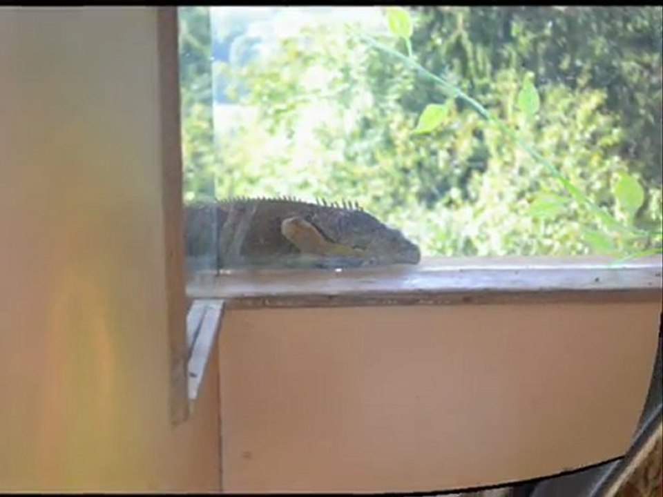 La Ferme des Reptiles