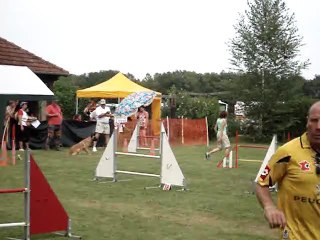 jeanine gpf
