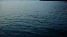KIF_1032