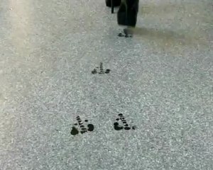 Vidéo de la performance "faire une bonne  impression"