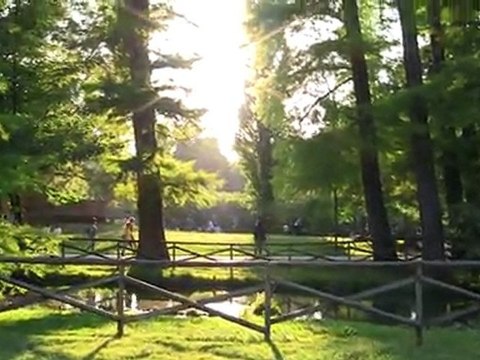 Test Canon Legria HF-S21 in ripresa contro sole @ 1080i50