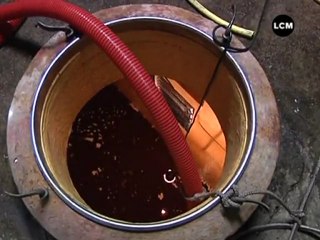 Des vendanges... au clair de lune!