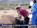 Rhino poaching surges on S. Africa's private reserves