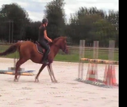 Talwood du Clocher (Melvin Candy X PS)