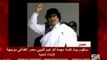 Rebels hunt for Gaddafi supporters in Tripoli