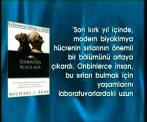 Materyalizmin yükselişi ve çöküşü