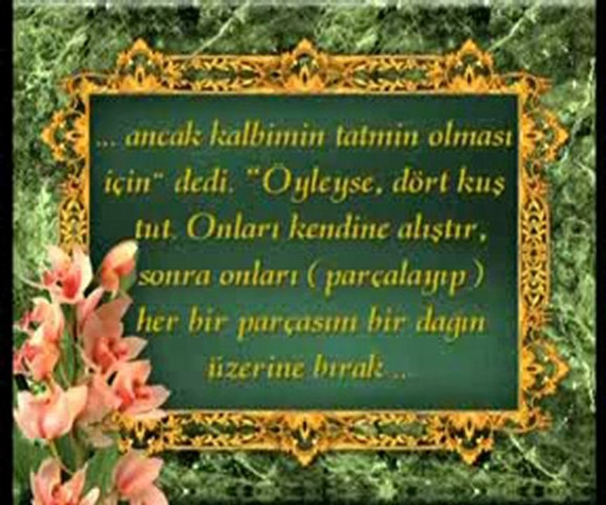 Peygamberlerin gösterdiği mucizeler de evrim olmadığının bir delilidir