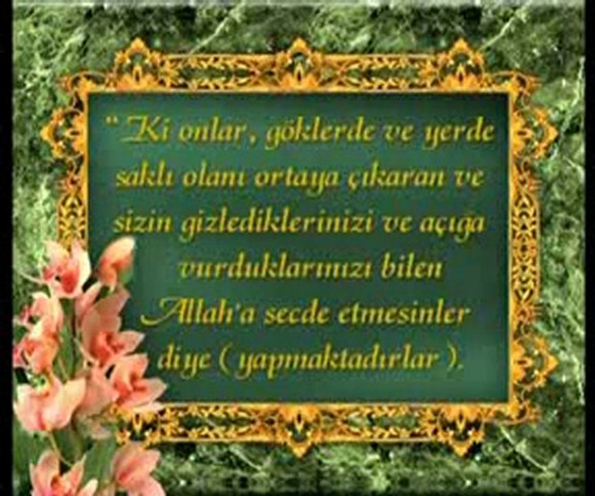 Hz. Süleyman kıssasındaki kuş ile karıncalar evrimin olmadığına delildir