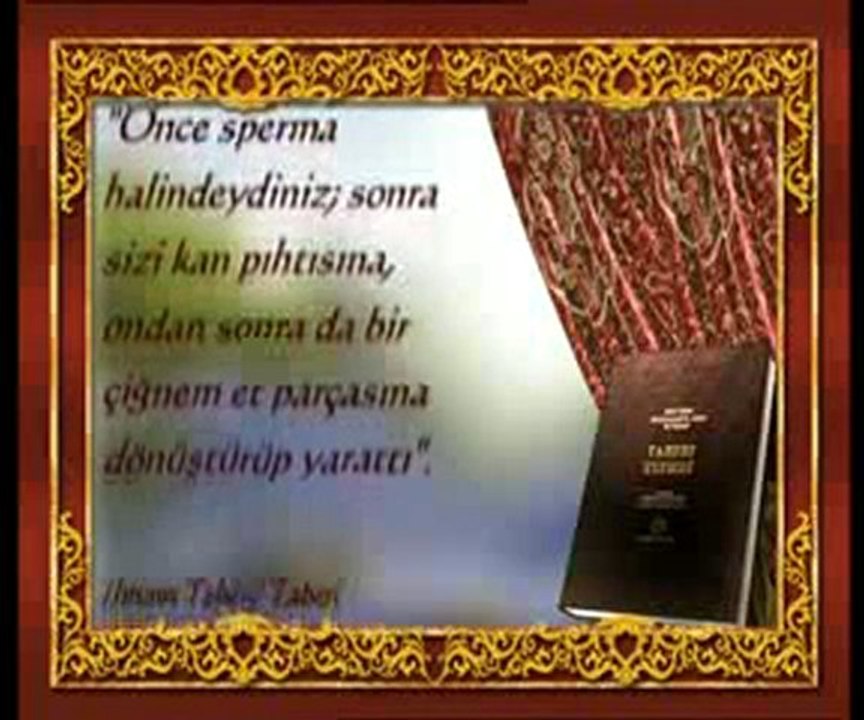 İnsanın evrimsel merhaleler sonucunda yaratıldığı yanılgısı