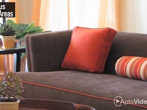 Casa Loma Apartments in Tucson, AZ - ForRent.com