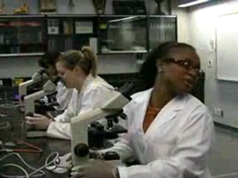 Medical Laboratory Technician Program at Centennial College