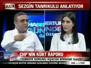 Sezgin Tanrıkulu Kandil harekatına tepki gösterdi