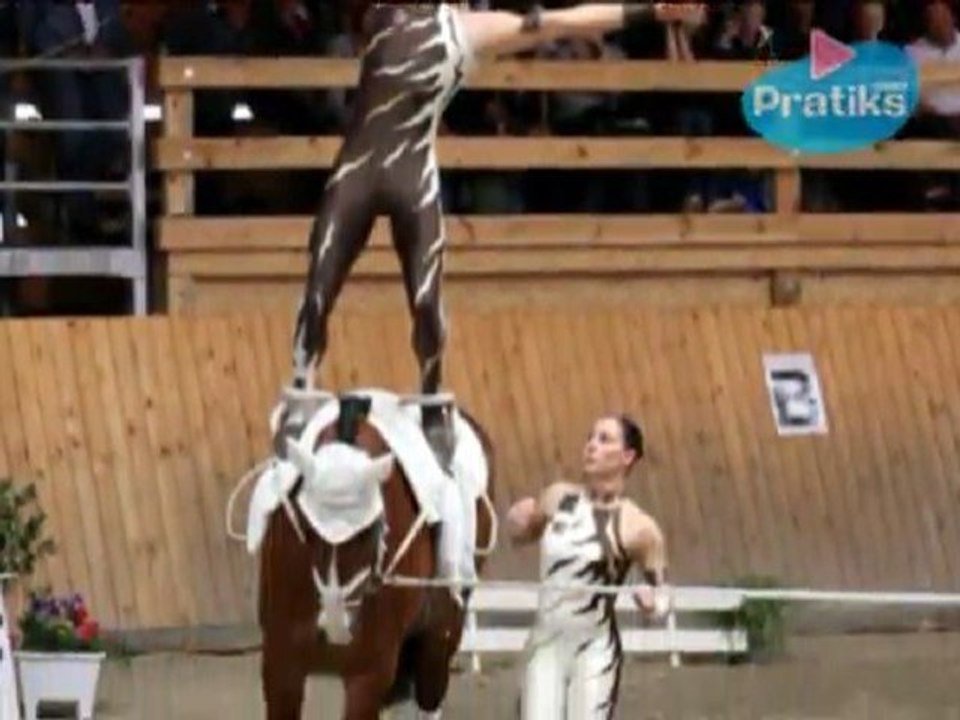 Voltige équestre - Qu’est-ce que la voltige équestre