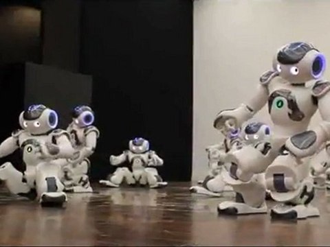 Aldebaran Robotics Nao Robot Show
