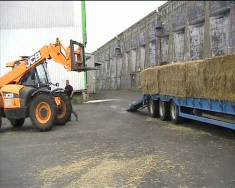 OPERATION PAILLE 2011