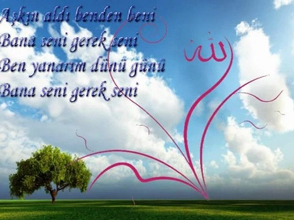 Aslı Güngör ..... Bana Seni Gerek Seni   (2011)