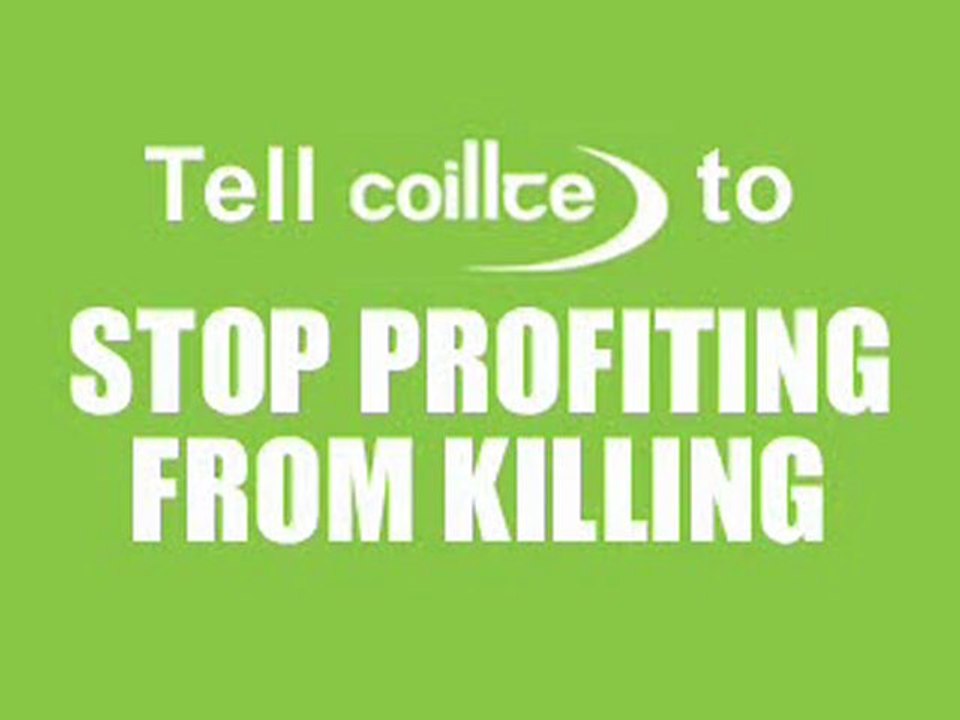 Coillte - Stop Profiting From Killing