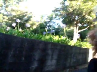 Discesa con cestinhos a Madeira!