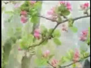 KADIR GECESI OZEL 01