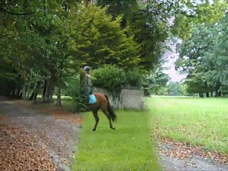 Untio de Ligny mon cheval ♥