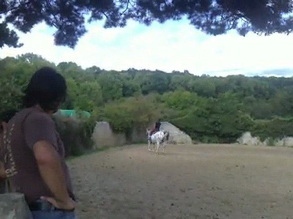 sophie et cosmos 25 08 2011 II
