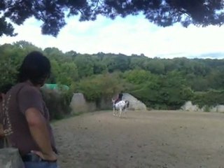 sophie et cosmos 25 08 2011 II