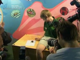 Львы, пингвины и пауки — все на взвешивание!