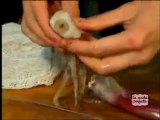 Cómo pelar calamares frescos