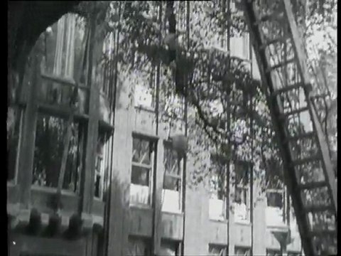 Hoogtepunten uit het jaar 1948 - Nieuws - Grote Gebeurtenissen -