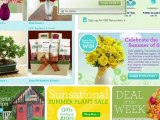 1800Flowers Coupons | A Guide To Saving with 1800Flowers Coupon Codes and Promo Codes