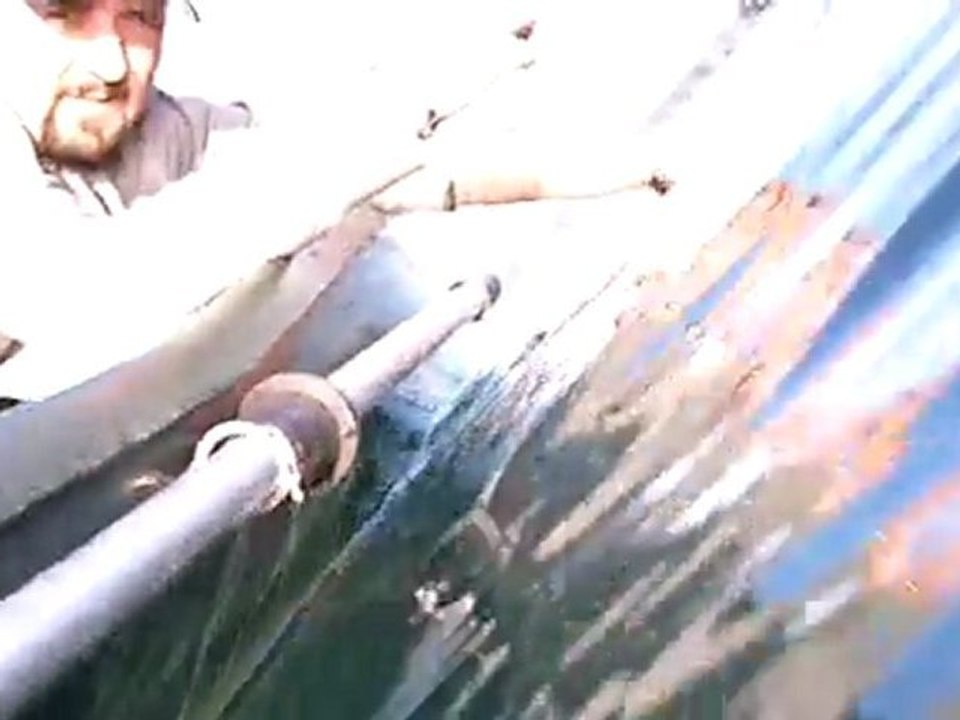 no kill brochet de 1,10m