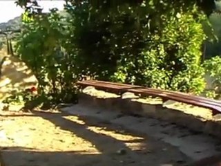 Eremo di Fraternità 2011