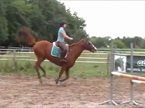 Séance du 26 aout 2011 CSO Qalif Saincrit