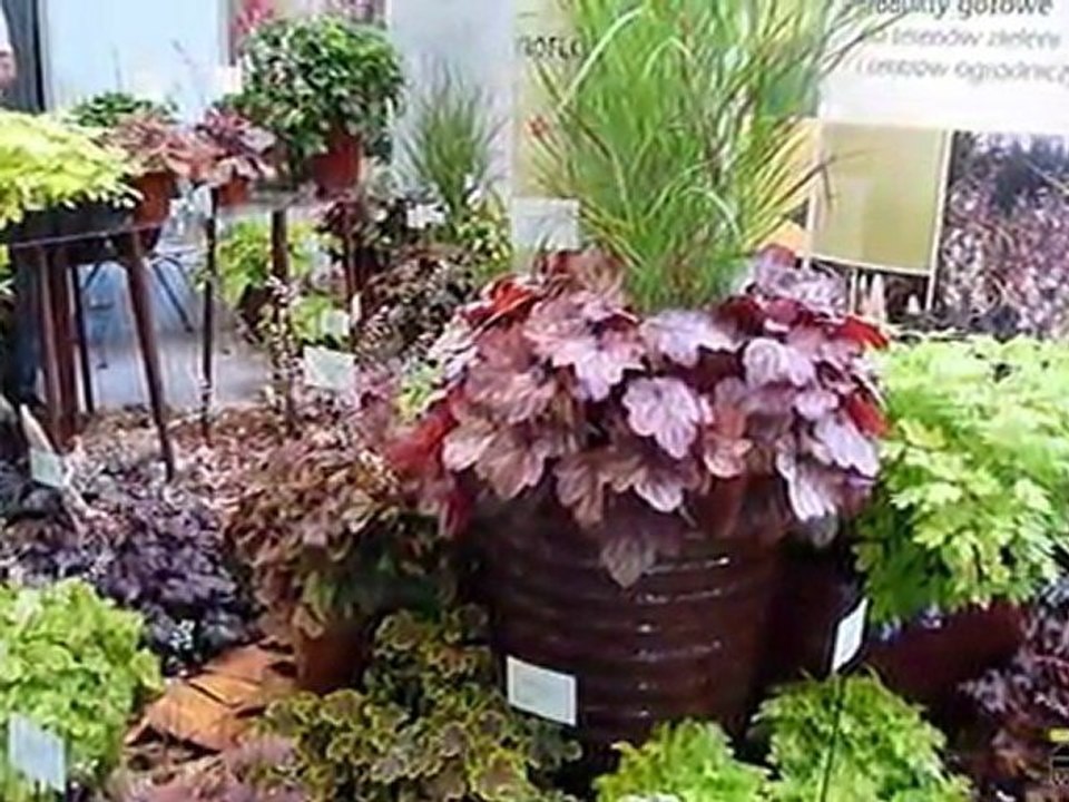 Targi "Zieleń to życie" 2011 Warszawa