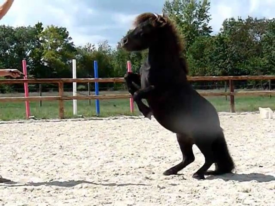 Twister, liberté... 1ère fois
