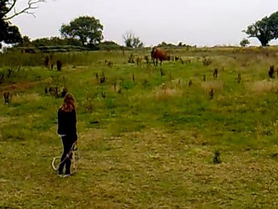 Piquepaille coquine1