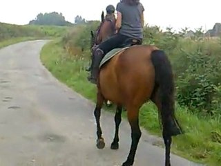 Ballade 17 aout 2011 2