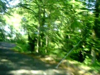 LA ROUTE EN AUVERGNE EN GOLDWING LES SOUS BOIS