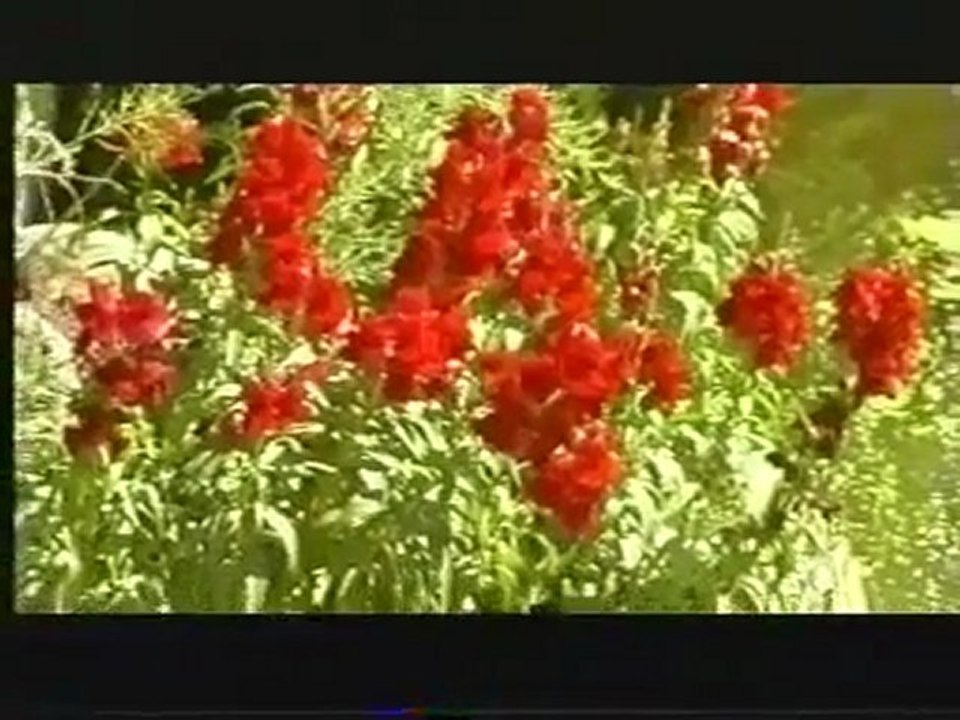 Ahıska Müzik - Beyaz Geceler - www.ahiskaturkleri.com