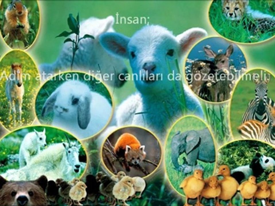 İnsan Olmak