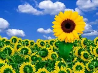 Farklı Olmak Güzeldir