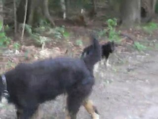 copain et sa petite amie