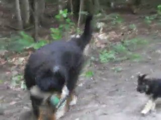 Copain et sa petite amie 2