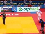 Judo ChM Paris 2011 J4 partie 2 sur 3