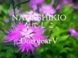 【Hatsune miku Append】 Nadeshiko 【Original】