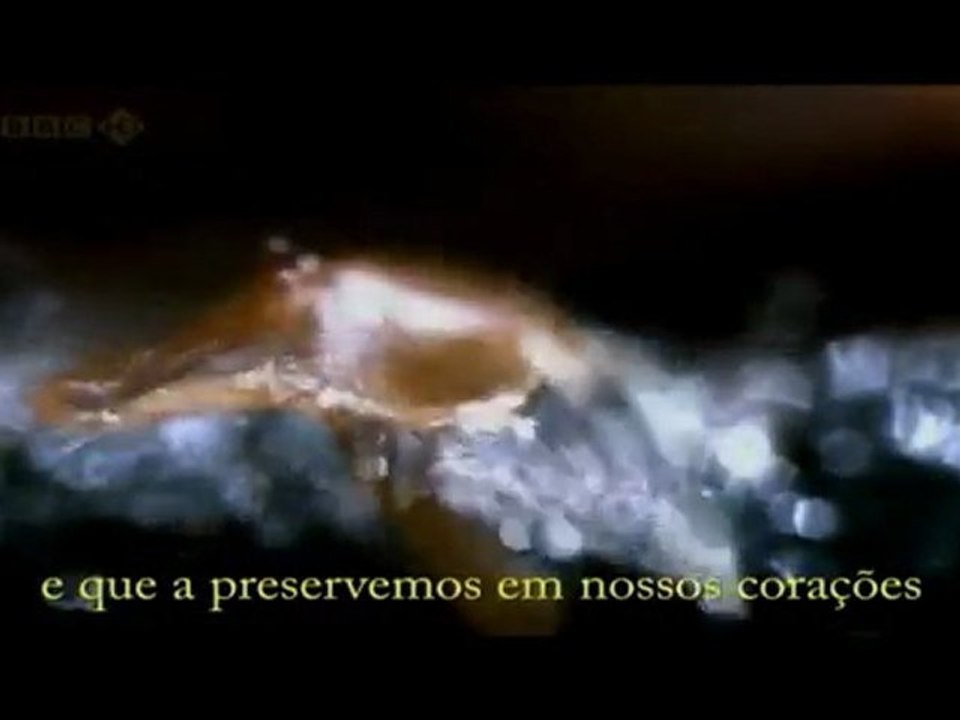 Fina Estampa 26/08 O Astro 26/08 Cordel Encantado 26/08 Morde & Assopra 26/08 Malhação