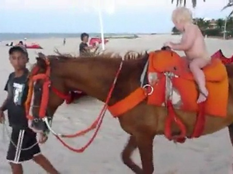 cheval cumbuco