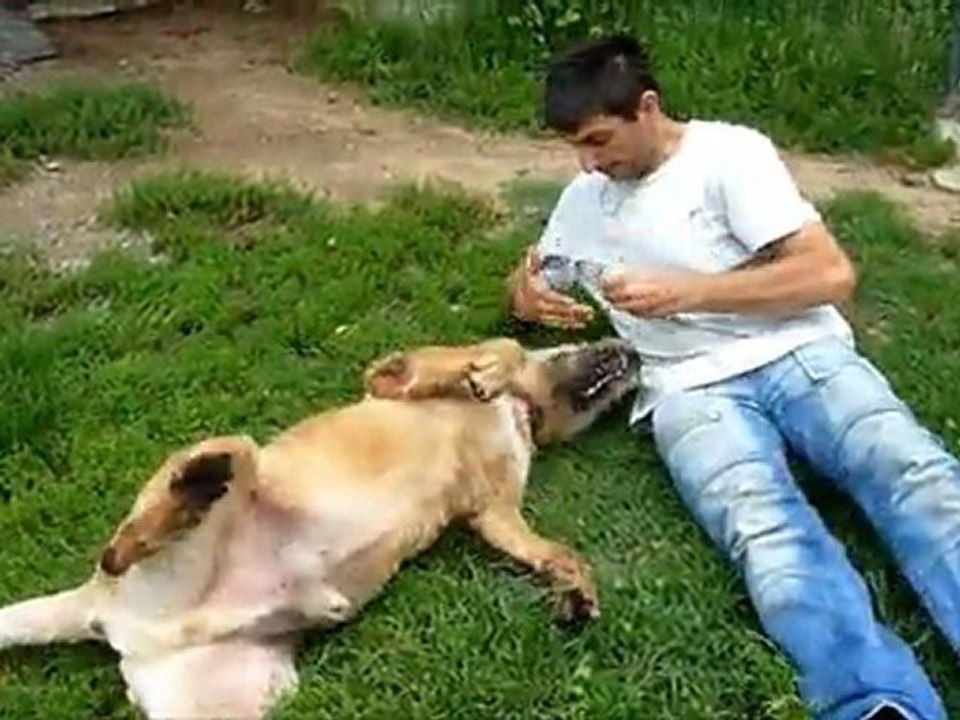 Rox... une trop longue attente