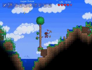 terraria partie 2